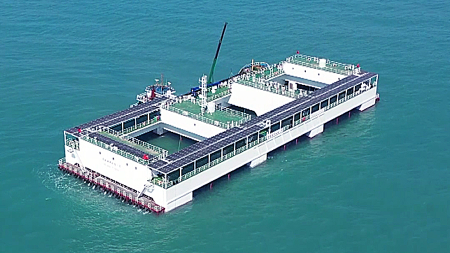 “普盛海洋牧场3号”